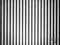 privacy screen (microscope photo)