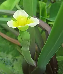 ""