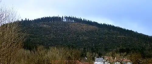 The forest on the Lindenberg mountain above Ilmenau, Germany was heavily damaged