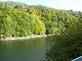 Lisinsko Lake in Bosilegrad