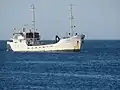 Lissa Solklint in Mangles Bay, January 2021.