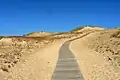Image 24Sand dunes in the Curonian Spit