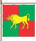 Flag of Litky