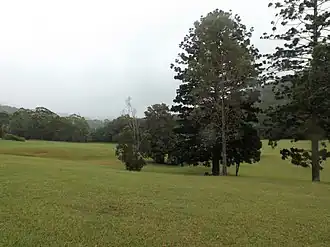Little Clagiraba Reserve, 2016