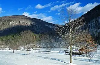 Landscape
