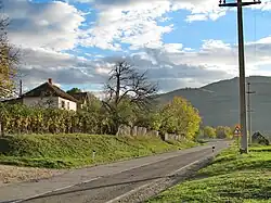 Drlače