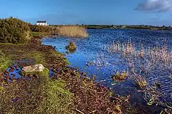 Llyn Maelog