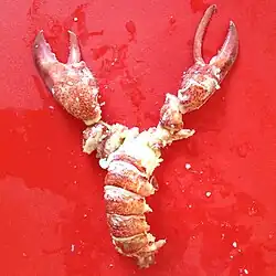 Lobster meat