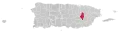 Caguas map