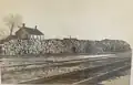 Log shipment in Dorset