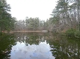 Lake