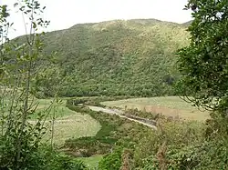 View from the Remutaka Rail Trail at Mangaroa