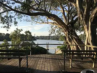 View from Fairfield along Brisbane River towards Eleanor Schonell Bridge, 2017