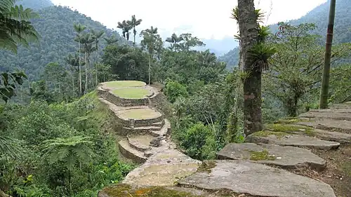 Ciudad Perdida is a major settlement believed to have been founded around 800 CE. It consists of a series of 169 terraces carved into the mountainside, a net of tiled roads and several small circular plazas. The entrance can only be accessed by a climb up some 1,200 stone steps through dense jungle.[15]