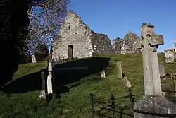 Ruins of medieval churches on a wooded island in Loughinisland Lake