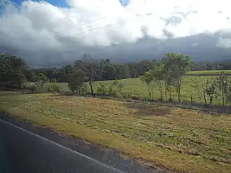 Lower Daintree landscape