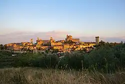 Lucignano from the castle