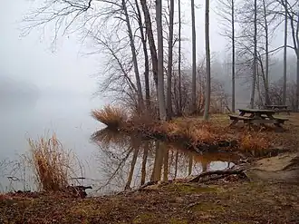 Misty landscape