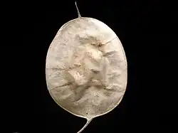 ""
