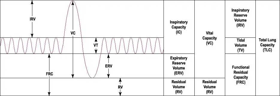 Output of a 'spirometer'