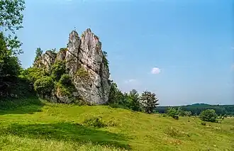 Łutowiec Castle