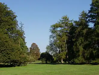 View from the front park