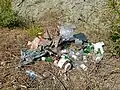 Trash thrown near the road