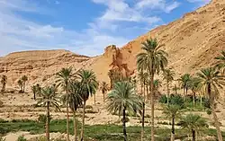 M'Chouneche natural park
