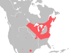 Map showing distribution of Macrobdella decora in eastern North America, centred around the Great Lakes and the eastern coastline.