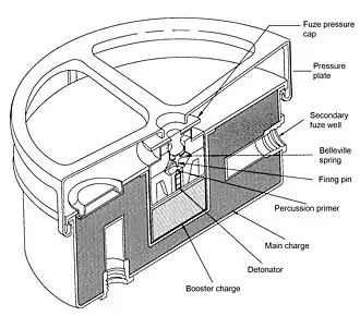Cross-sectional view of an M4 mine showing the detonator and adjacent booster charge surrounded by the main explosive charge of TNT