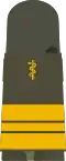 Mounting loop