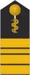 Flottillenarzt