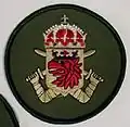 Sleeve insignia