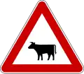 Domesticated animals