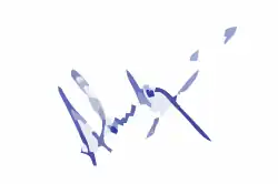 Signature of Ahmed Easa