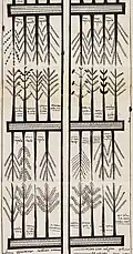Heavenly garden of plants (continued)