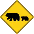Migrating Bears SW59(CA)