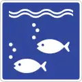 SIT-11: Aquarium