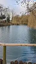 M lake (March 2025)