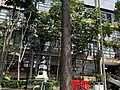 Fairy Forest, overlooking the School of Architecture.