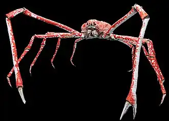 Japanese spider crab, with a leg span of as much as 4&nbsp;m (13&nbsp;ft)
