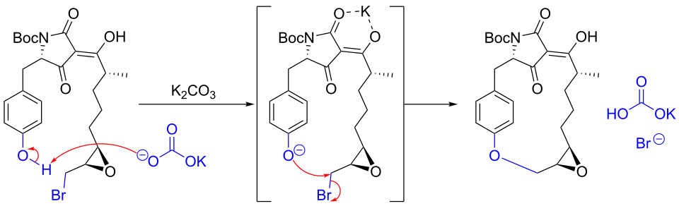 Synthesis of macrocidin A via SN2 etherification.