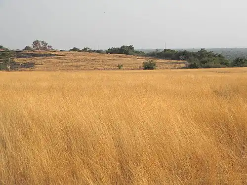 Madayippara