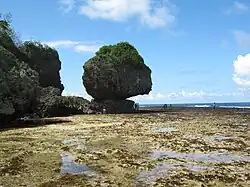 Magpupungko Rock in Pilar, Siargao, Philippines