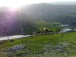 Farms in Mahis