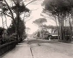 A view down Main Road, Wynberg around the year 1900