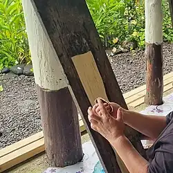 Scraping the bark with a shell
