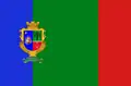 Flag of Mala Divytsia