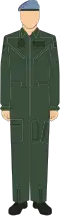 The No. 10C Dress is the flight overall of the Malaysian Army. It is primarily worn by pilots and aircrew from the Malaysian Army Aviation corps.