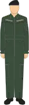 The Jungle Green No. 10D Dress is the generic overall of the Malaysian Army. This uniform is primarily worn by army personnel, regardless of rank, who work with armoured vehicles.